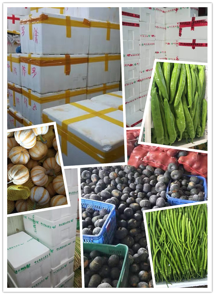 俄罗斯专享会294·VIP(中国区)官方网站