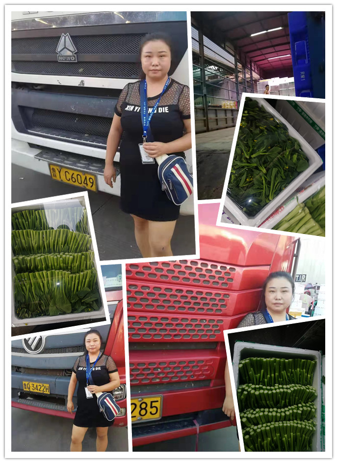 俄罗斯专享会294·VIP(中国区)官方网站