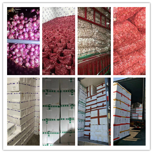 俄罗斯专享会294·VIP(中国区)官方网站