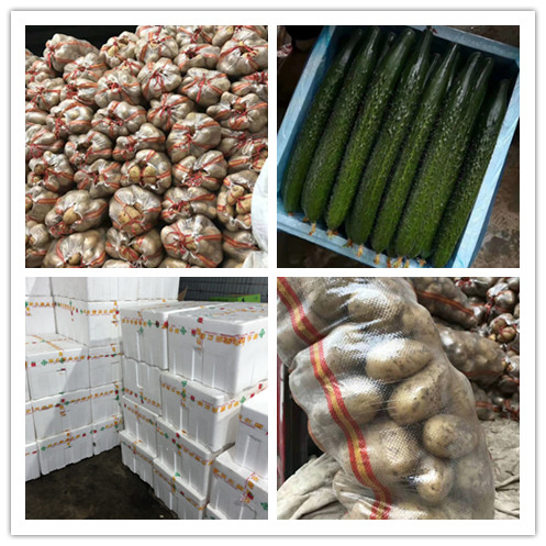 俄罗斯专享会294·VIP(中国区)官方网站