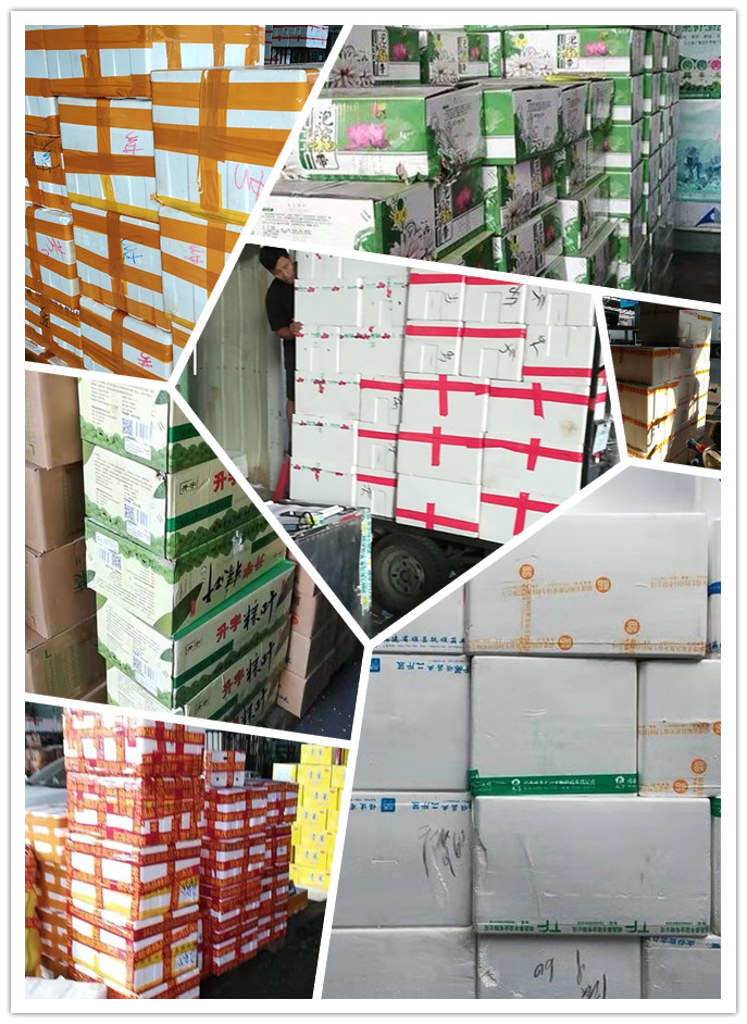 俄罗斯专享会294·VIP(中国区)官方网站