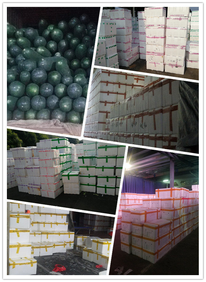 俄罗斯专享会294·VIP(中国区)官方网站