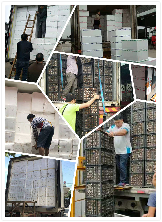 俄罗斯专享会294·VIP(中国区)官方网站