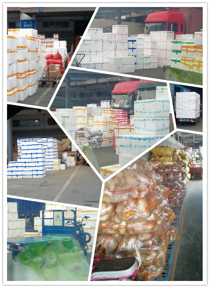 俄罗斯专享会294·VIP(中国区)官方网站