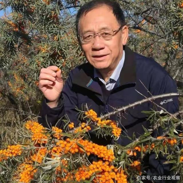 俄罗斯专享会294·VIP(中国区)官方网站