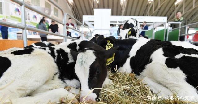 俄罗斯专享会294·VIP(中国区)官方网站