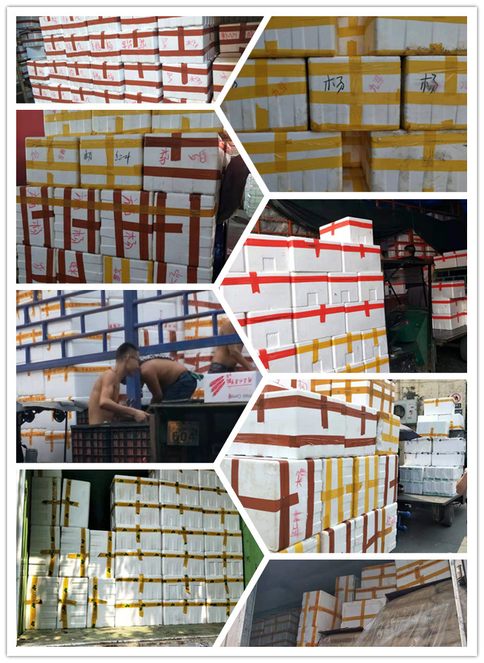 俄罗斯专享会294·VIP(中国区)官方网站