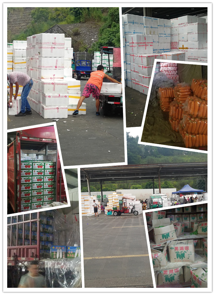 俄罗斯专享会294·VIP(中国区)官方网站