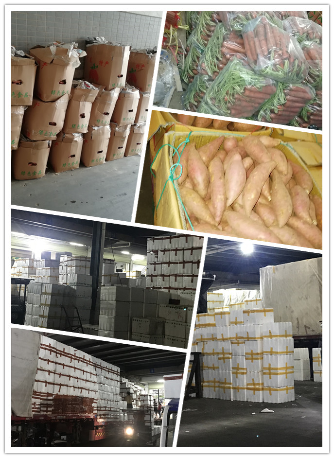 俄罗斯专享会294·VIP(中国区)官方网站