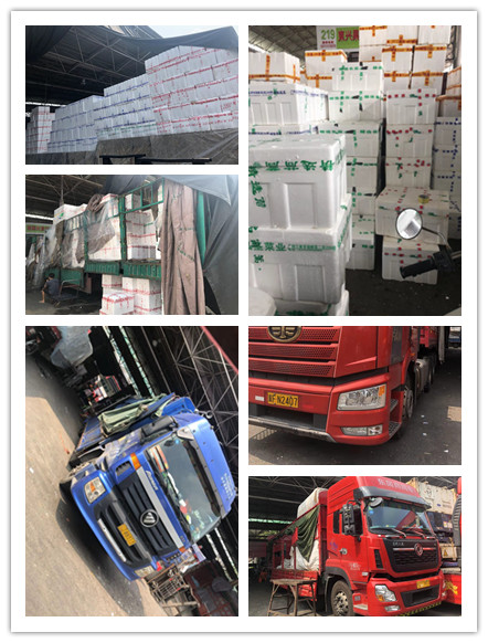 俄罗斯专享会294·VIP(中国区)官方网站