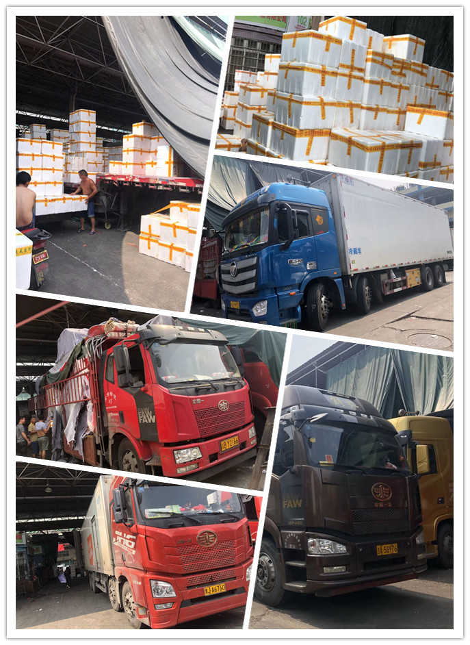 俄罗斯专享会294·VIP(中国区)官方网站