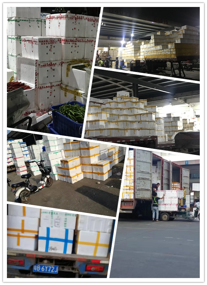 俄罗斯专享会294·VIP(中国区)官方网站