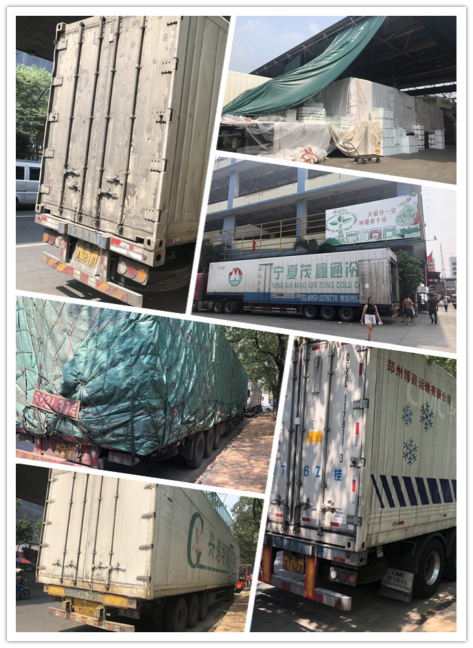 俄罗斯专享会294·VIP(中国区)官方网站