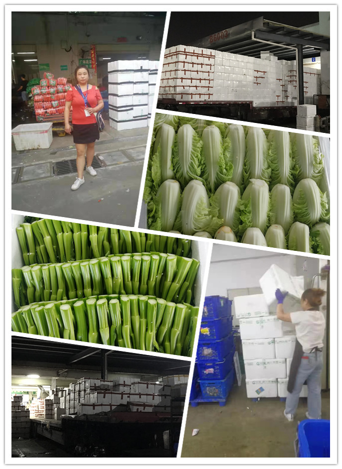 俄罗斯专享会294·VIP(中国区)官方网站