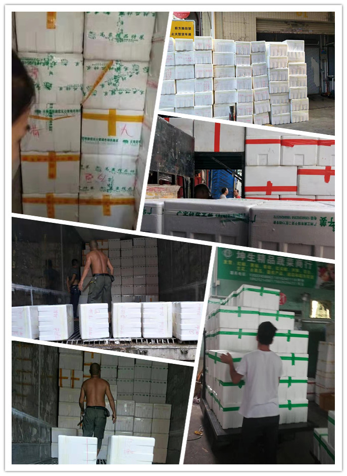 俄罗斯专享会294·VIP(中国区)官方网站