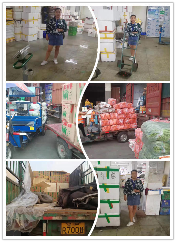 俄罗斯专享会294·VIP(中国区)官方网站