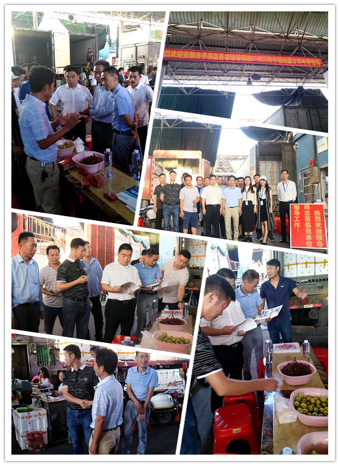 俄罗斯专享会294·VIP(中国区)官方网站