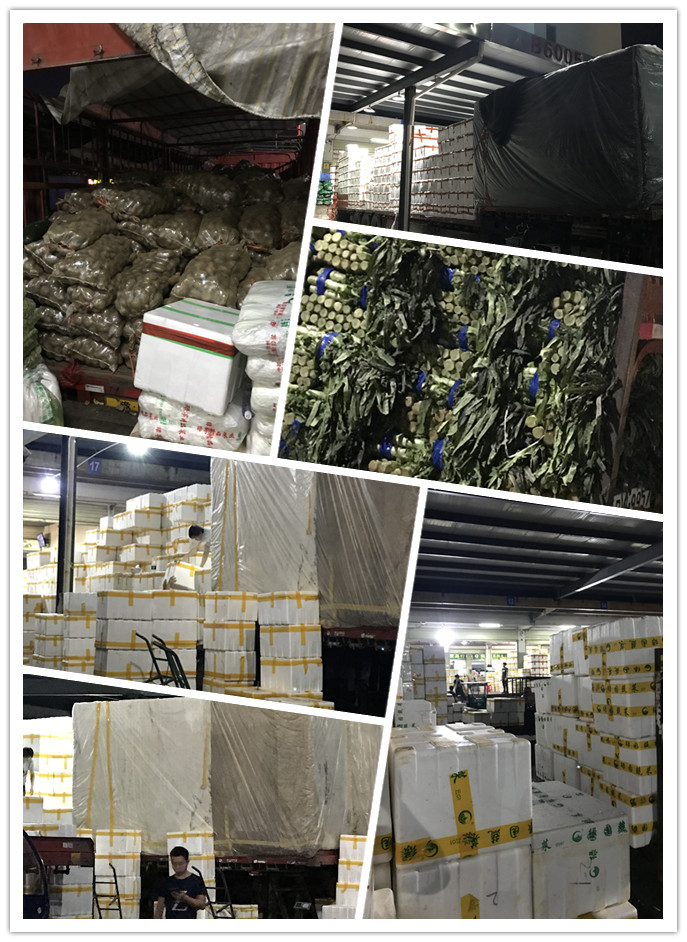 俄罗斯专享会294·VIP(中国区)官方网站