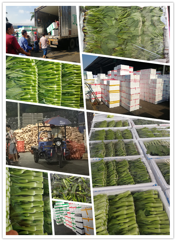 俄罗斯专享会294·VIP(中国区)官方网站