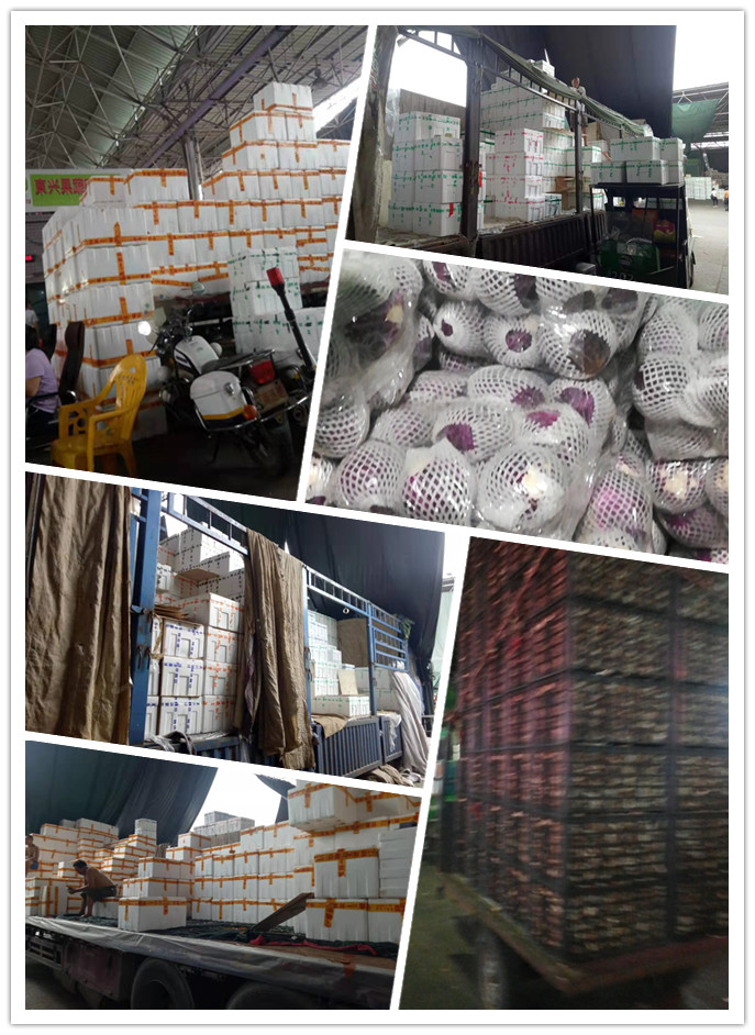 俄罗斯专享会294·VIP(中国区)官方网站