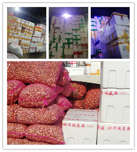 俄罗斯专享会294·VIP(中国区)官方网站