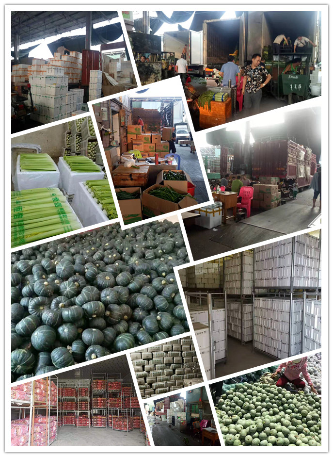 俄罗斯专享会294·VIP(中国区)官方网站