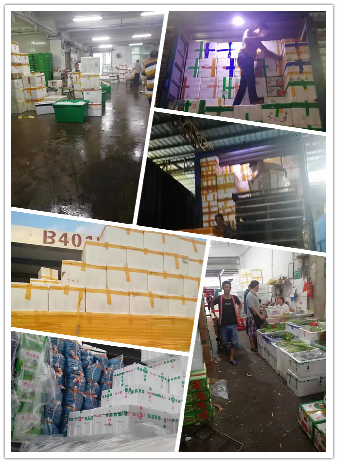 俄罗斯专享会294·VIP(中国区)官方网站