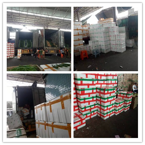 俄罗斯专享会294·VIP(中国区)官方网站