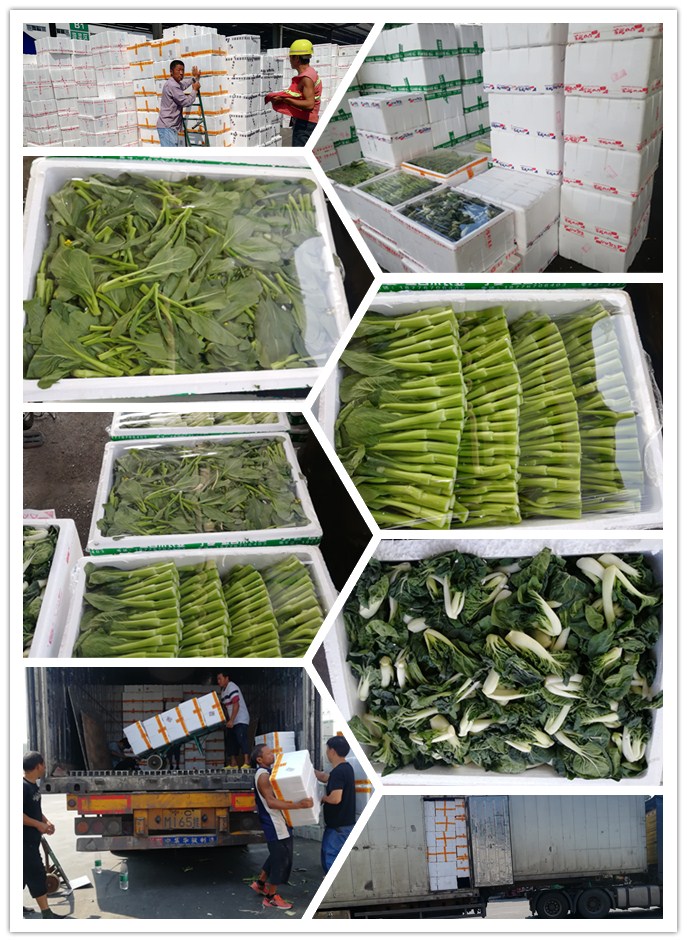 俄罗斯专享会294·VIP(中国区)官方网站