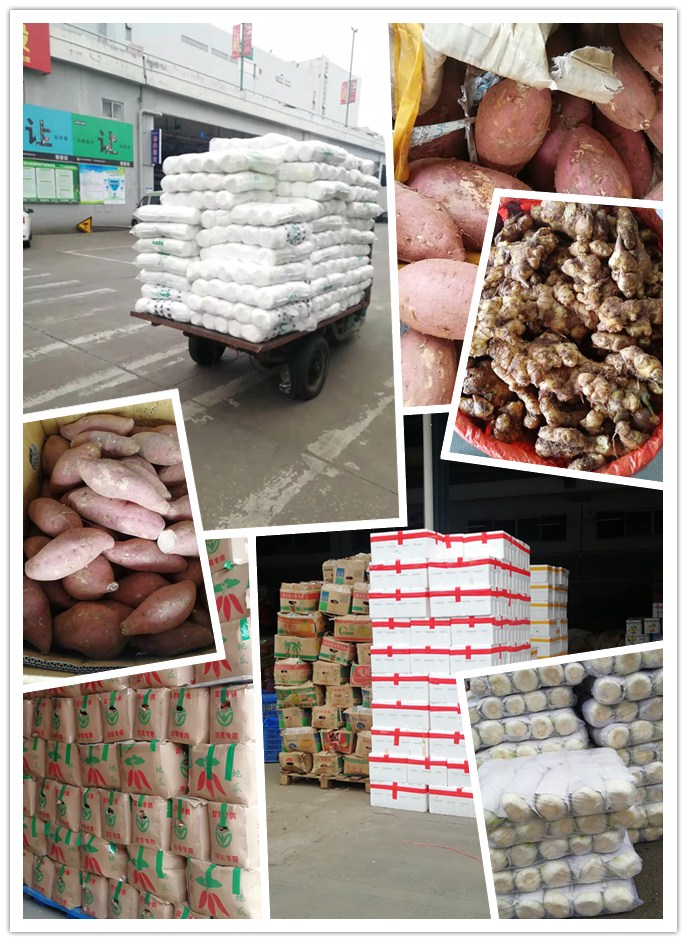 俄罗斯专享会294·VIP(中国区)官方网站