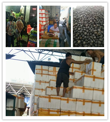 俄罗斯专享会294·VIP(中国区)官方网站