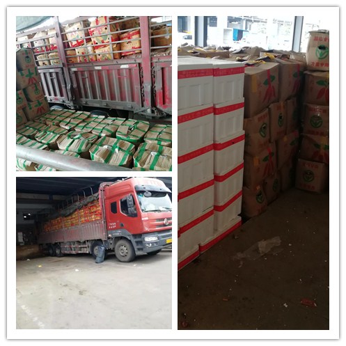 俄罗斯专享会294·VIP(中国区)官方网站