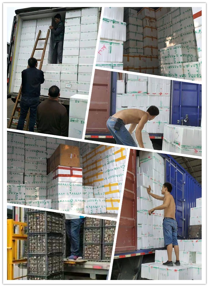 俄罗斯专享会294·VIP(中国区)官方网站