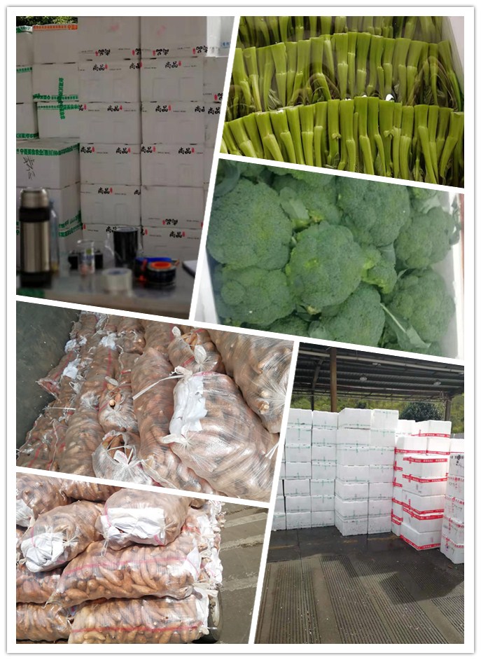 俄罗斯专享会294·VIP(中国区)官方网站