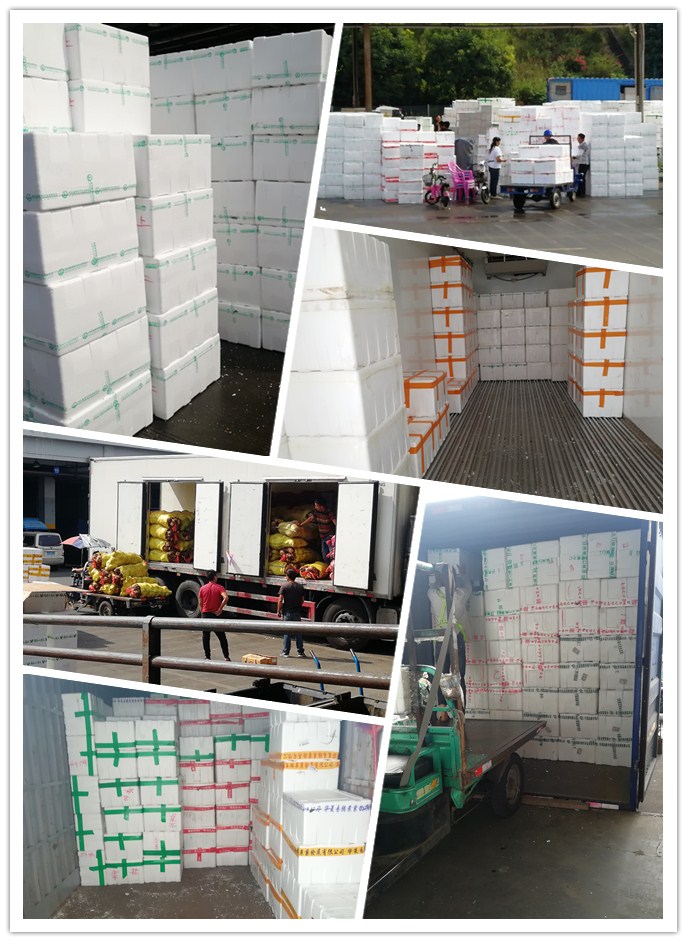 俄罗斯专享会294·VIP(中国区)官方网站