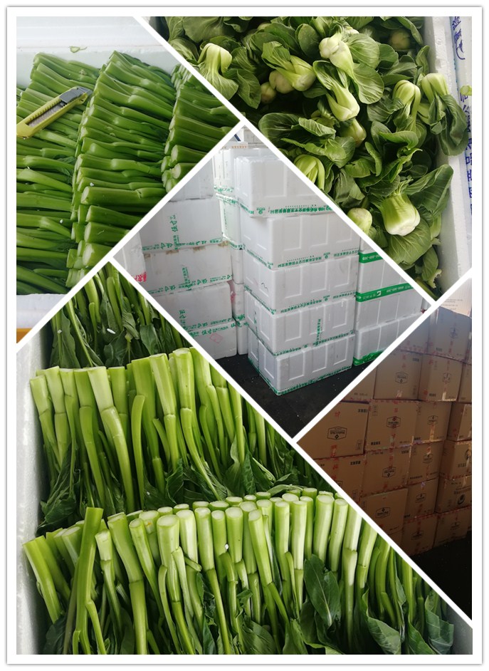 俄罗斯专享会294·VIP(中国区)官方网站