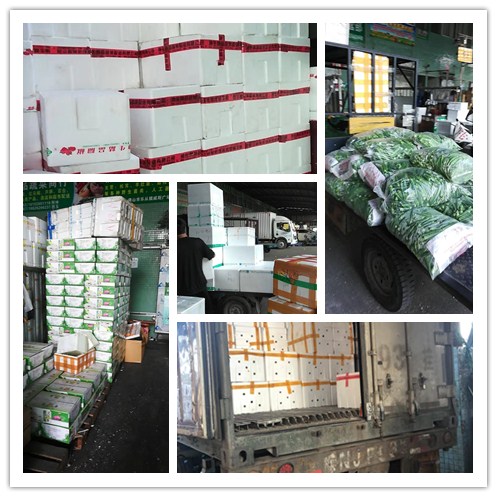 俄罗斯专享会294·VIP(中国区)官方网站