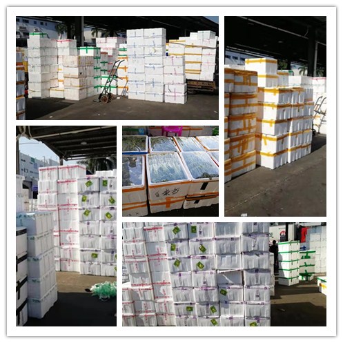 俄罗斯专享会294·VIP(中国区)官方网站