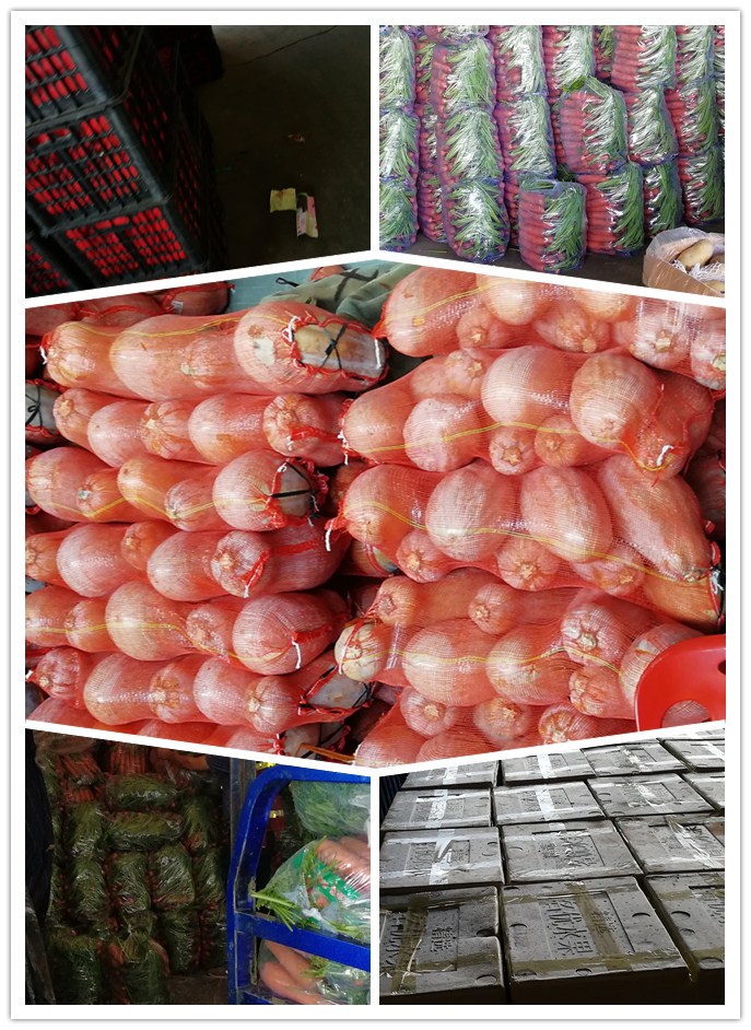 俄罗斯专享会294·VIP(中国区)官方网站