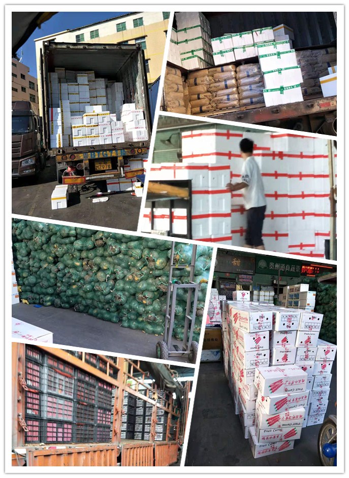 俄罗斯专享会294·VIP(中国区)官方网站