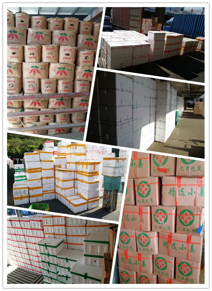 俄罗斯专享会294·VIP(中国区)官方网站