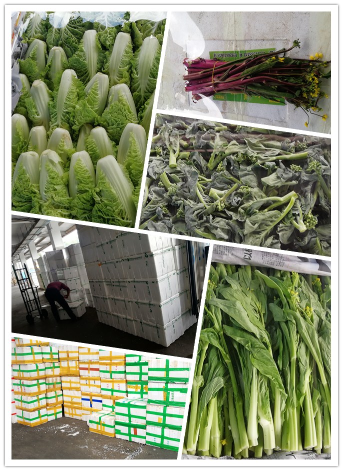 俄罗斯专享会294·VIP(中国区)官方网站