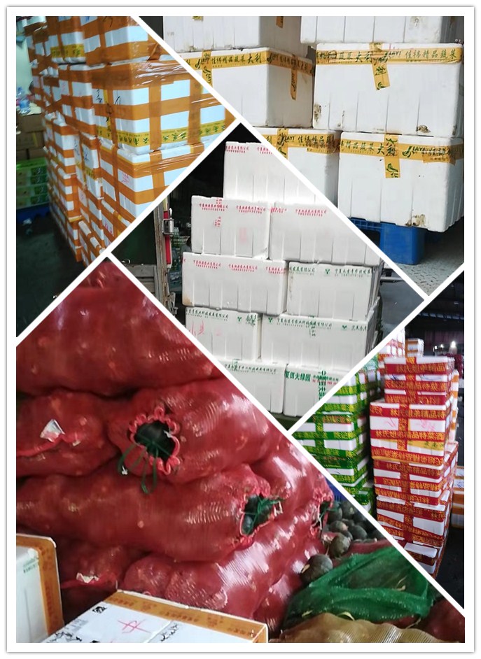 俄罗斯专享会294·VIP(中国区)官方网站