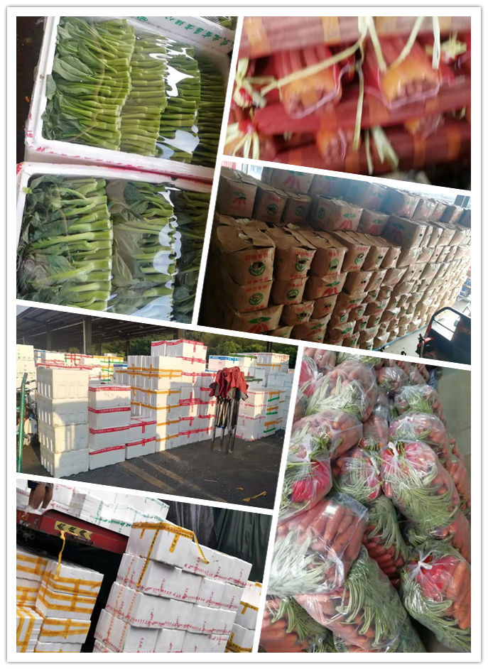 俄罗斯专享会294·VIP(中国区)官方网站