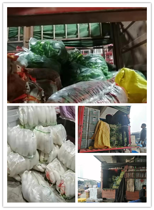 俄罗斯专享会294·VIP(中国区)官方网站