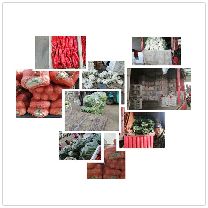 俄罗斯专享会294·VIP(中国区)官方网站