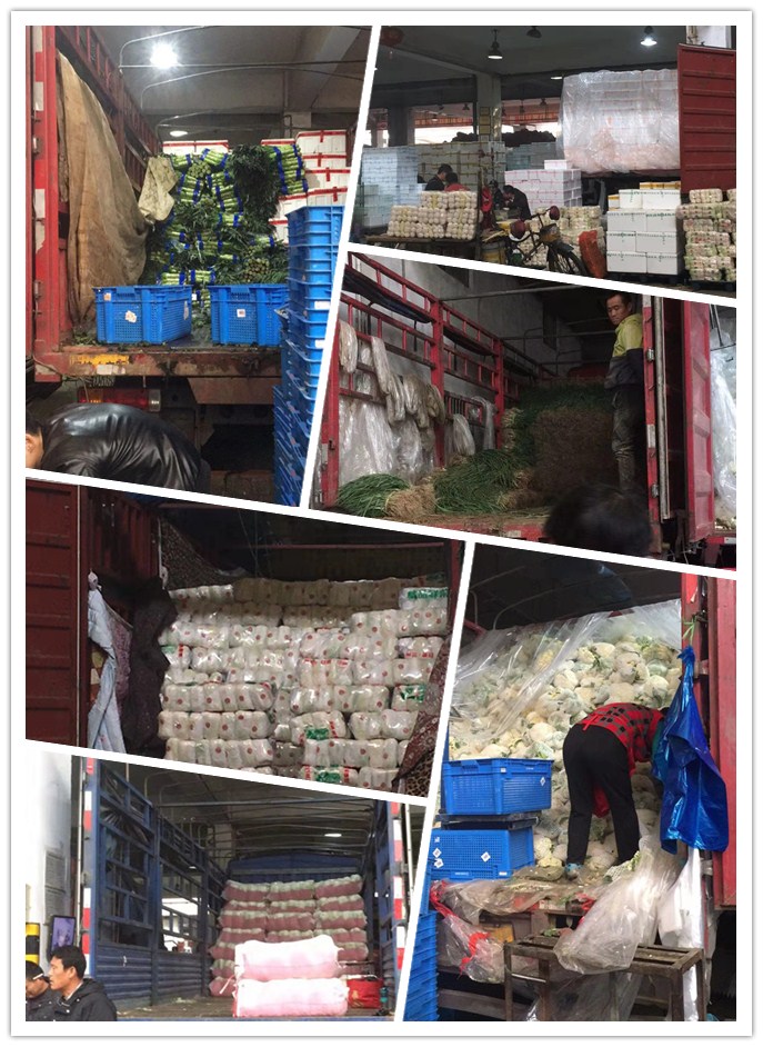 俄罗斯专享会294·VIP(中国区)官方网站