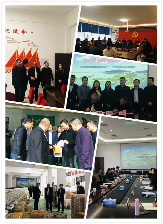 俄罗斯专享会294·VIP(中国区)官方网站