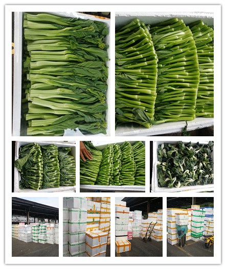 俄罗斯专享会294·VIP(中国区)官方网站