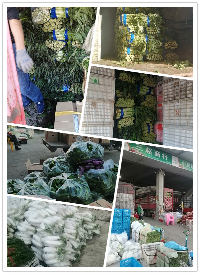 俄罗斯专享会294·VIP(中国区)官方网站